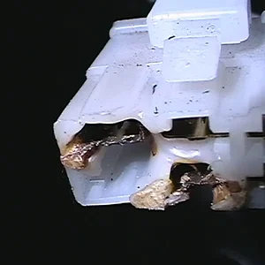 PANA0160.JPG