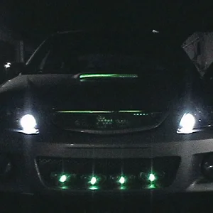 PANA0142g.jpg