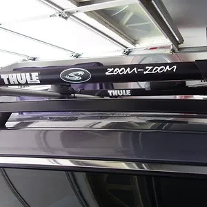Zoomzoom.JPG