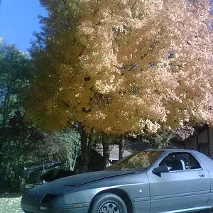 IMG00140.JPG