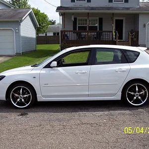 100_7164 (Large).JPG