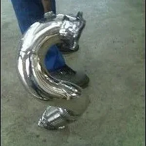 DP1.jpg