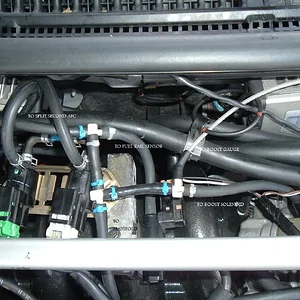 DSCF0509.JPG