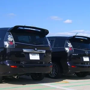 six color wing black.jpg