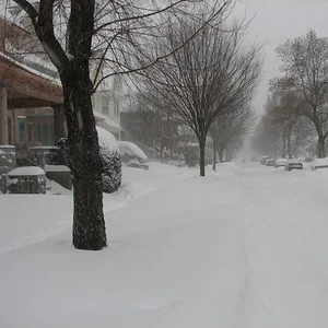 Mt Vernon.jpg