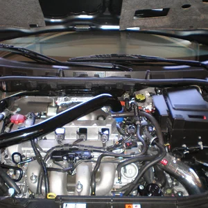 fmic 005.jpg