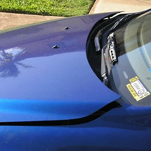 lowered 017.JPG
