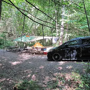 IMG_1811.jpg