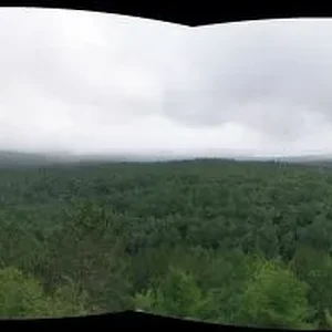 lookout trail.jpg