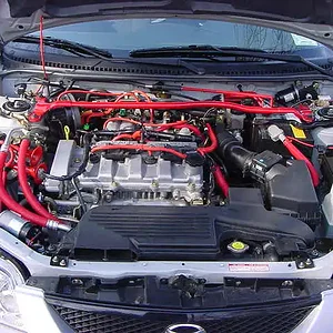 red hoses front.jpg
