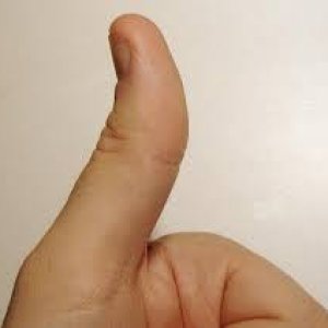 Thumb.jpg