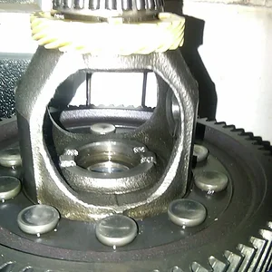 Case & Ring Gear 1.jpg