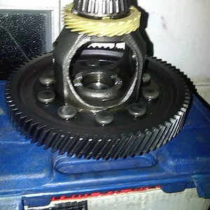 Case & Ring Gear 5.jpg