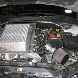 2009-11-7 001r.JPG