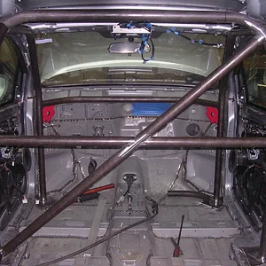 cage 5.jpg