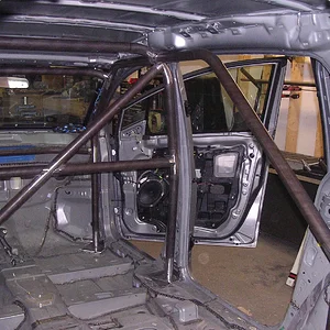 cage 12.jpg