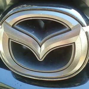 emblem removal.jpg