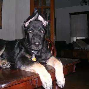2-03-2010 004.JPG