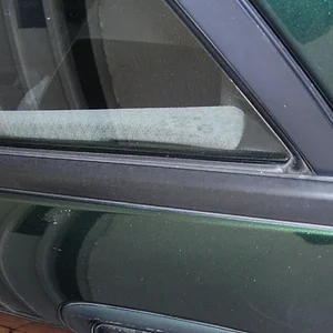 P2250017.JPG