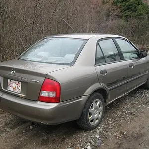 IMG_1907_low.jpg