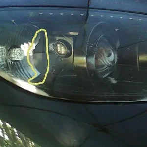 light2.jpg