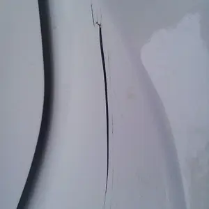 0720001219a.JPG
