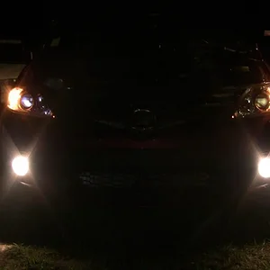 Fog Light 023.jpg