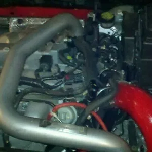 photo.jpeg