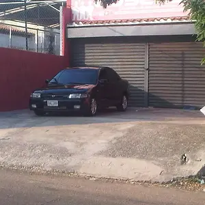 IMG00411-20101216-1625.jpg