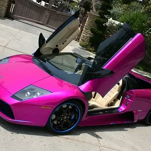 pink_lamborghini-4x3.jpg