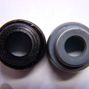 DSCN1911.jpg