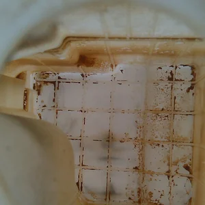 IMAG0468.jpg