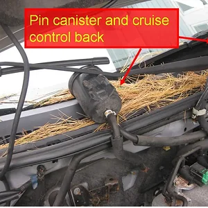 Slide5.JPG