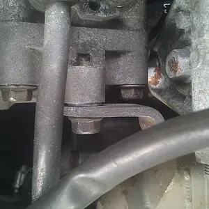 IMG_20111106_121009.jpg