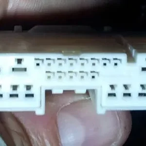 Pic1.jpg
