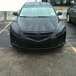 Lamin-X head+fogs.JPG