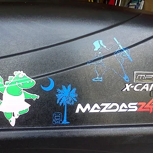 Cargo Box Vinyl.jpg