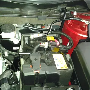 IMG_20120720_113155.jpg