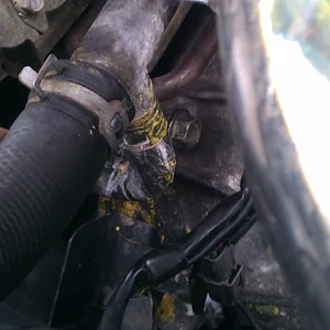 hose at the bottom.jpg
