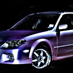 purp.jpg