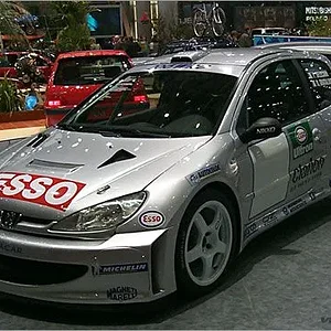 206_rally.jpg