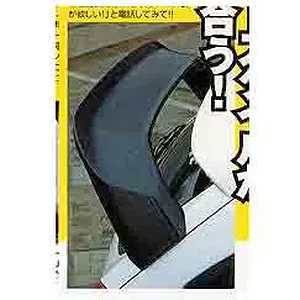 wing copy.jpg