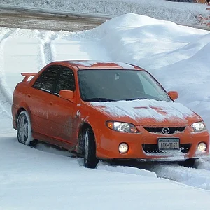 snowed1.jpg