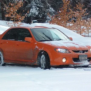 snowed2.jpg
