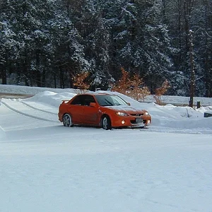 snowed3.jpg