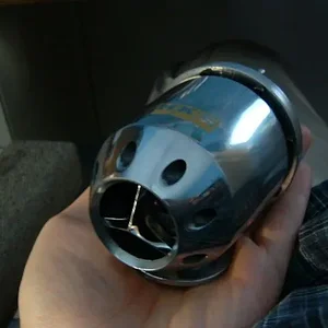 bov.jpg