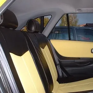 yellow & black - back.jpg