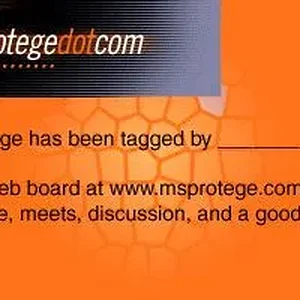 msprotegedotcom.jpg