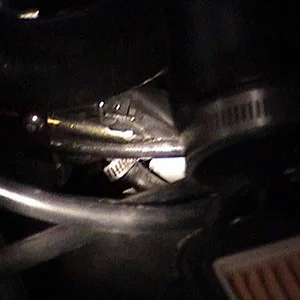 dsc00041-1.jpg
