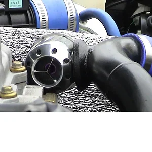 bov.jpg